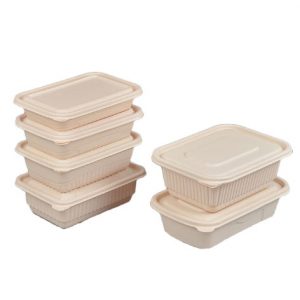 Corn Starch Rectangle Box